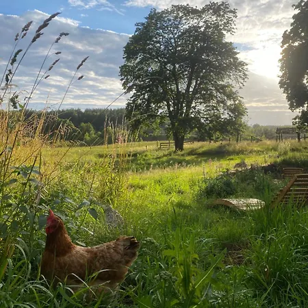 Siedlisko Biale Blota * Skorzewo (Koscierzyna)