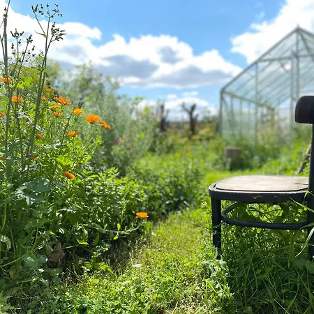 Siedlisko Biale Blota