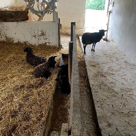 Siedlisko Biale Blota Skorzewo (Koscierzyna)