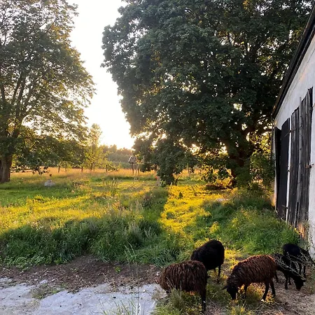 Siedlisko Biale Blota *