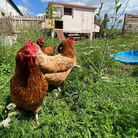 Siedlisko Biale Blota شقة *