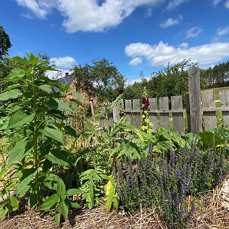 Siedlisko Biale Blota *