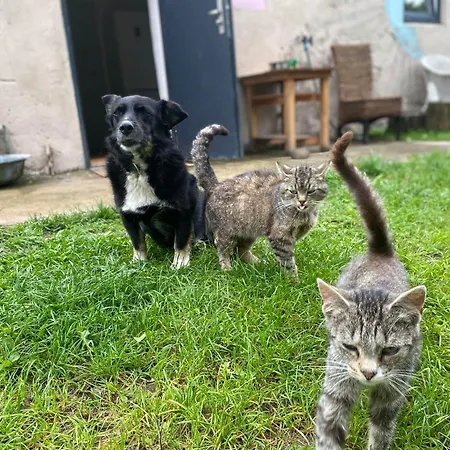 Siedlisko Biale Blota *