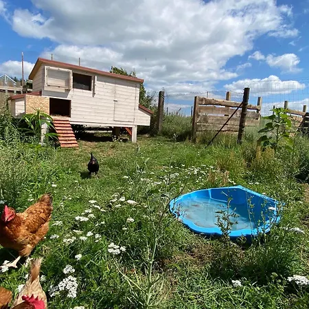 Siedlisko Biale Blota Skorzewo (Koscierzyna)