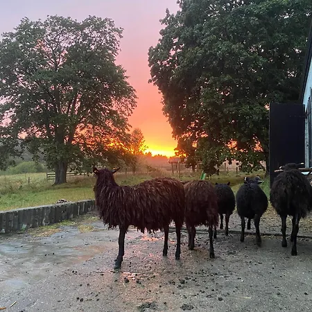 Siedlisko Biale Blota شقة *