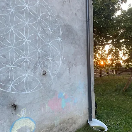 Siedlisko Biale Blota Skorzewo (Koscierzyna)