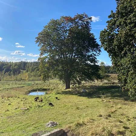 Siedlisko Biale Blota Apartamento *