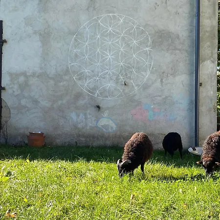 Siedlisko Biale Blota Apartamento *