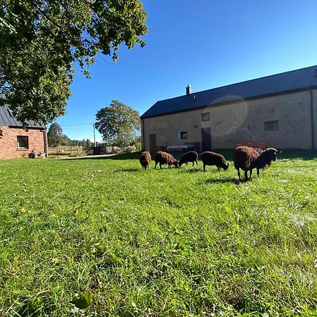Siedlisko Biale Blota Skorzewo (Koscierzyna)
