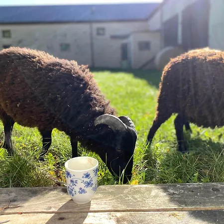 Siedlisko Biale Blota