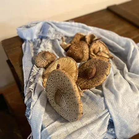 Siedlisko Biale Blota Appartamento Skorzewo (Koscierzyna)