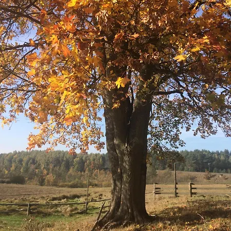 Siedlisko Biale Blota