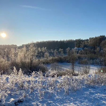 Siedlisko Biale Blota * Skorzewo (Koscierzyna)