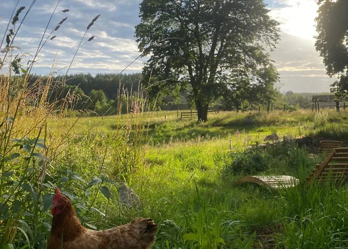 Siedlisko Biale Blota * Skorzewo