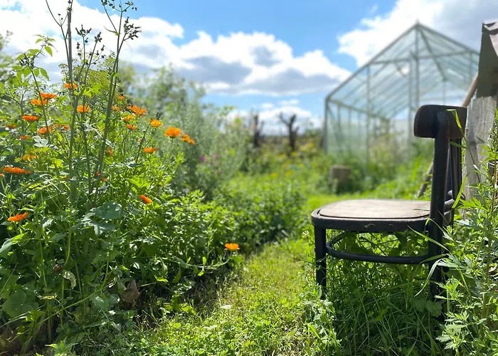 Siedlisko Biale Blota