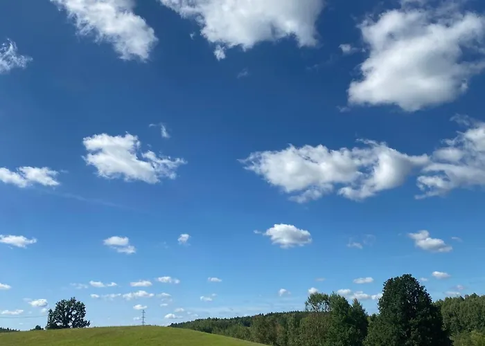 Siedlisko Biale Blota Apartman *