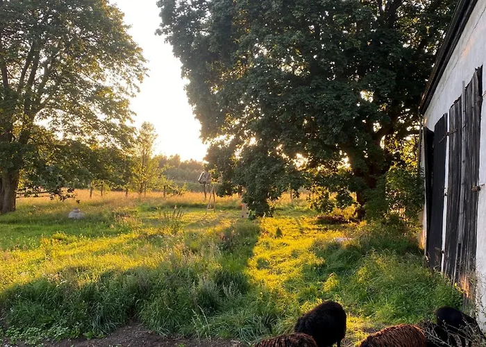 Siedlisko Biale Blota *