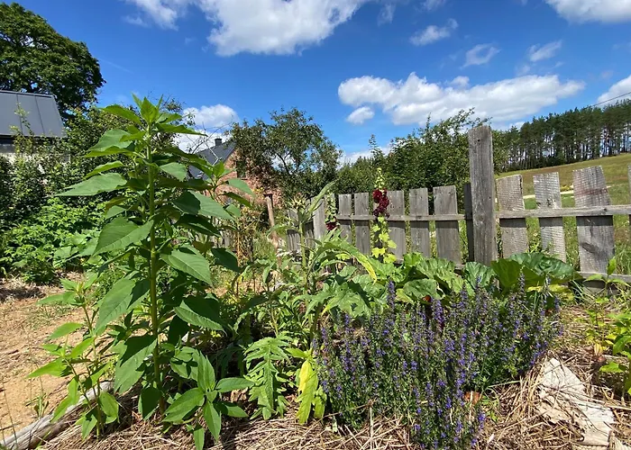 Siedlisko Biale Blota *