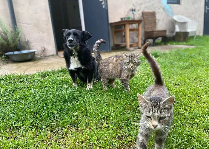 Siedlisko Biale Blota *