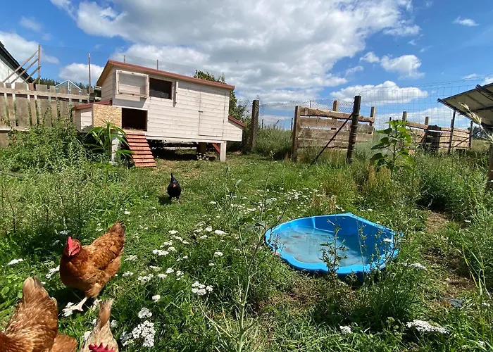 Siedlisko Biale Blota Skorzewo (Koscierzyna)