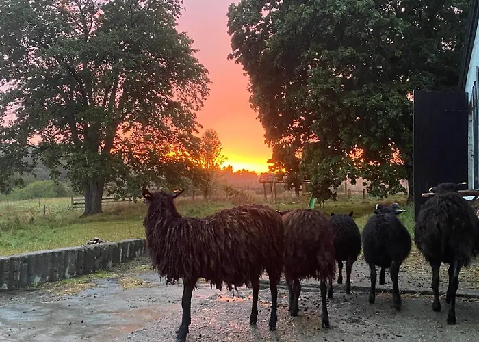 Siedlisko Biale Blota 公寓 *