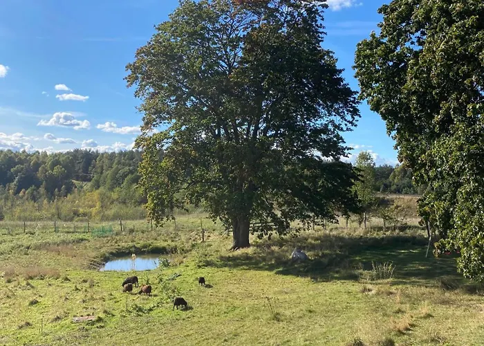 Siedlisko Biale Blota Lägenhet *