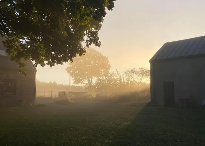 Siedlisko Biale Blota