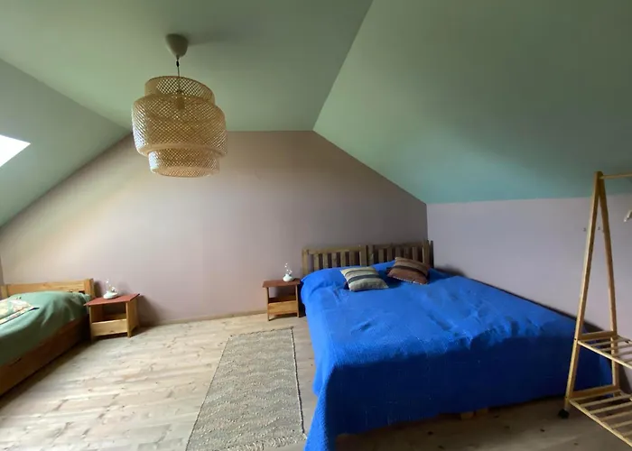 Siedlisko Biale Blota * Skorzewo (Koscierzyna)