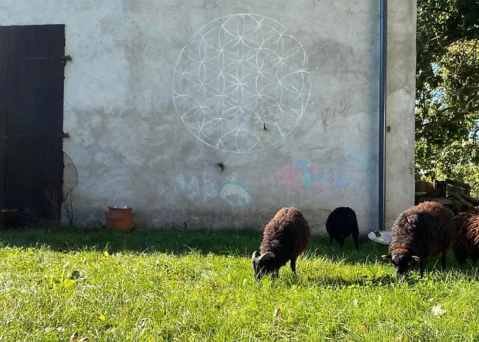 Siedlisko Biale Blota Apartman *