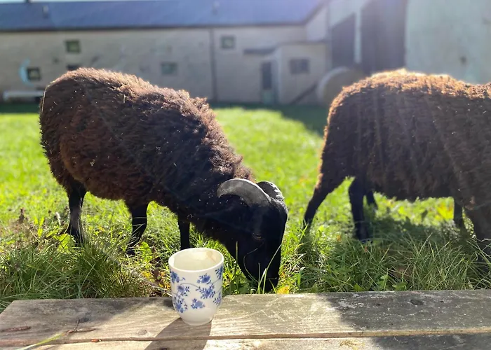 Siedlisko Biale Blota