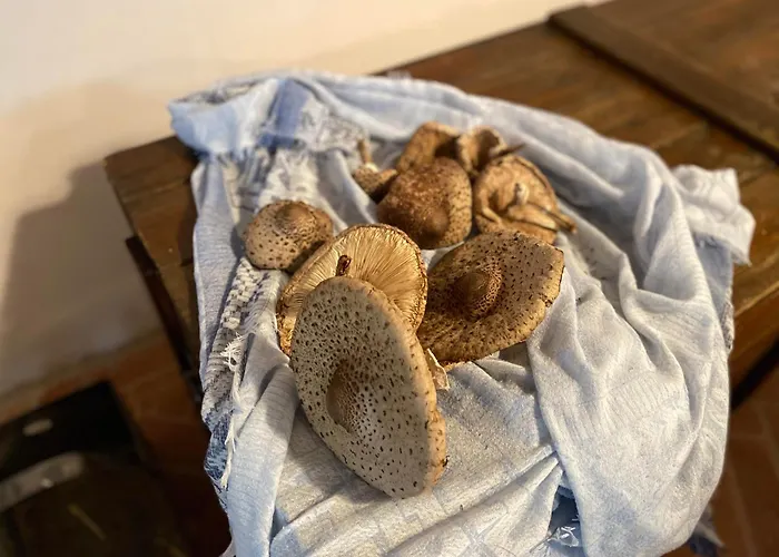 Siedlisko Biale Blota Apartman Skorzewo