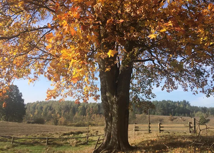 Siedlisko Biale Blota