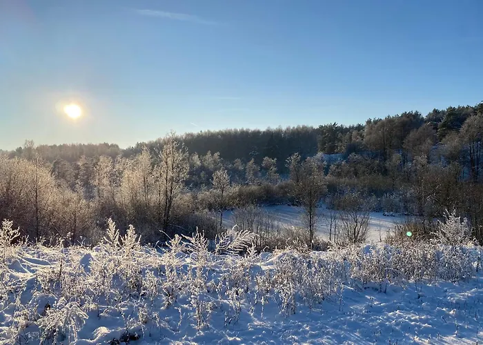 Siedlisko Biale Blota * Skorzewo (Koscierzyna)